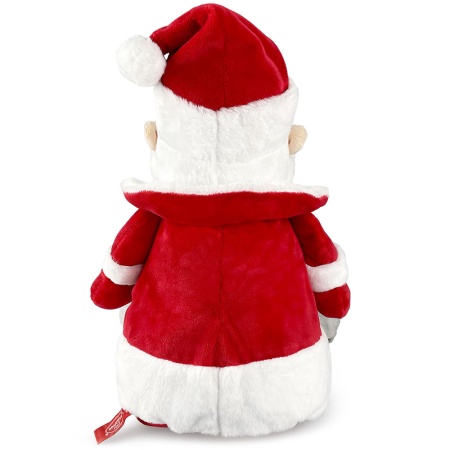 Подарок «Дед Мороз» 600г Премиум ПТЗ-39п